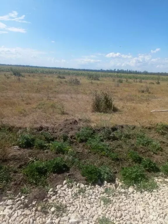 Участок в Саратовская область, Энгельсский район, Новопушкинское ... - Фото 0