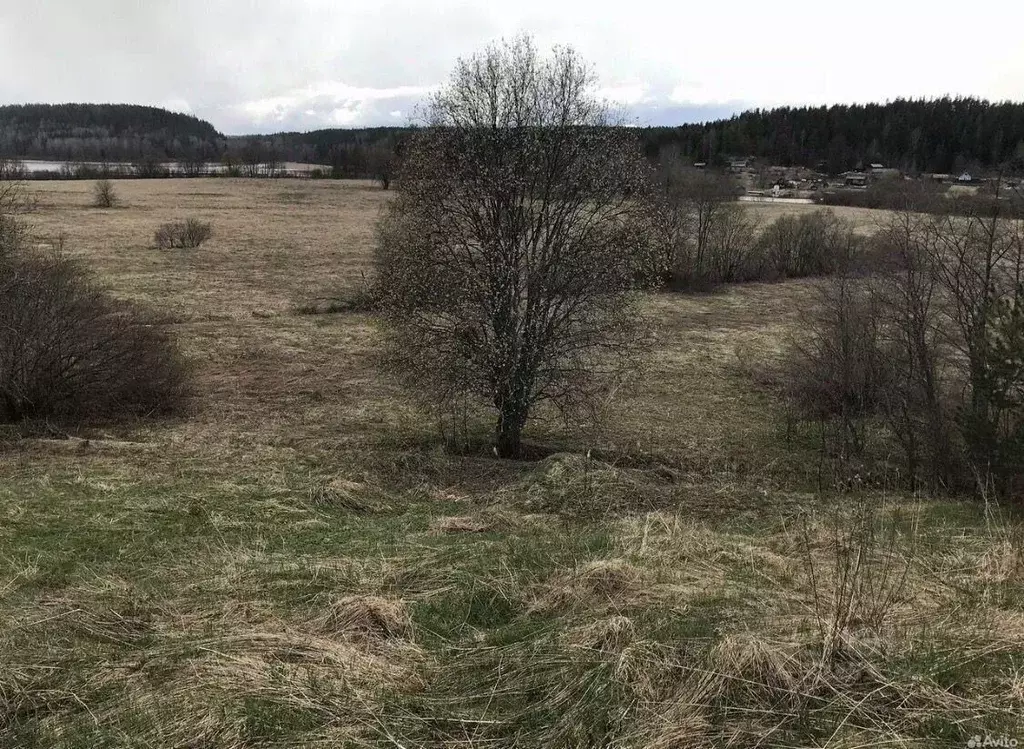Участок в Карелия, Лахденпохский муниципальный округ, Соролансаари ... - Фото 0
