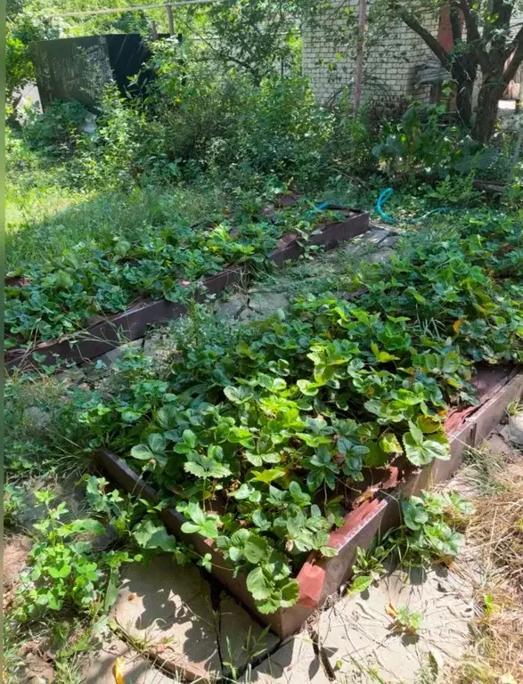 Дом в Саратовская область, Саратов Факел-85 СНТ,  (54 м) - Фото 0