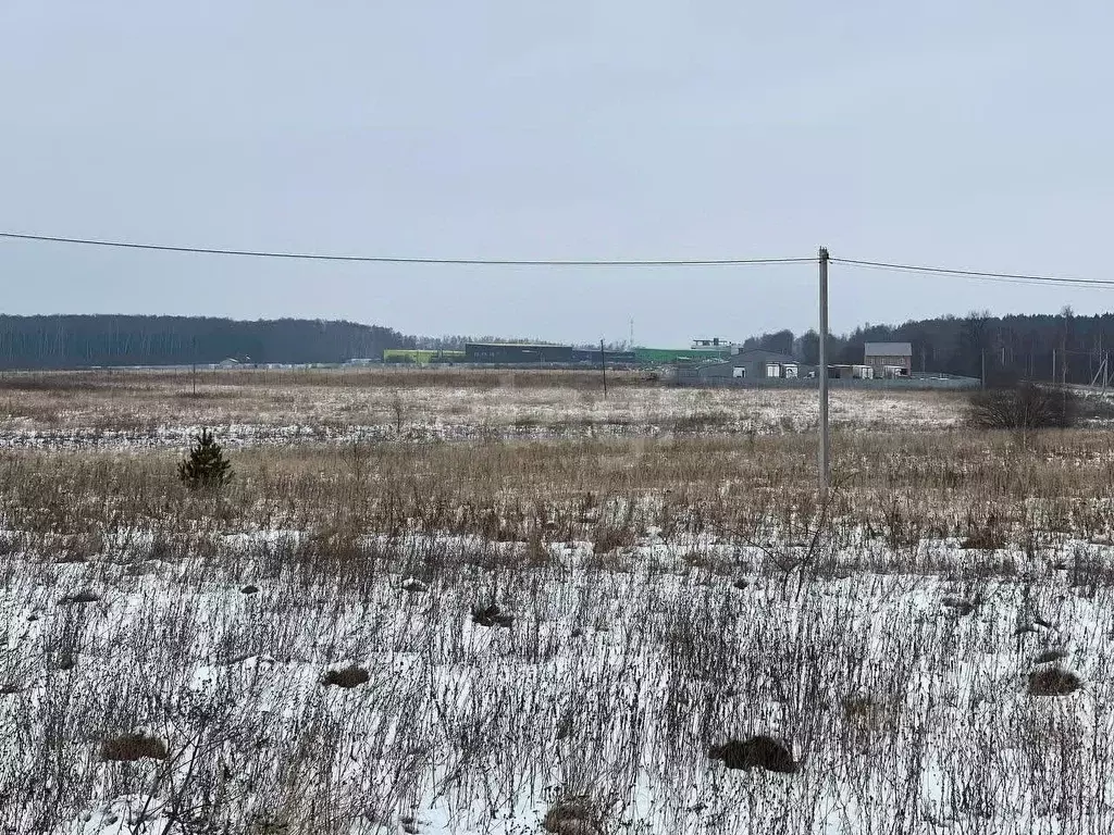 Участок в Московская область, Ступино городской округ, Торбеево-1 тер. ... - Фото 0