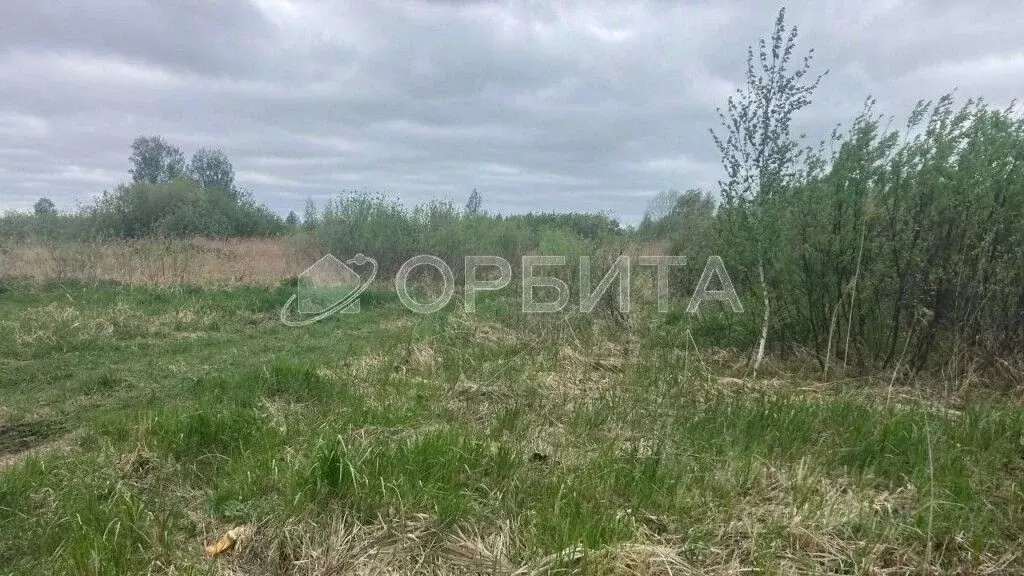 Участок в Тюменская область, Тюмень Большое Царево-3 ОНТ,  (10.0 сот.) - Фото 0