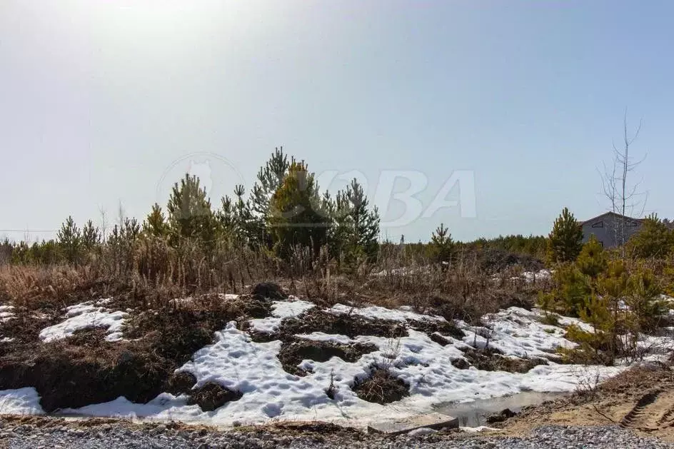 Участок в Тюменская область, Нижнетавдинский район, д. Московка 3-я ... - Фото 1