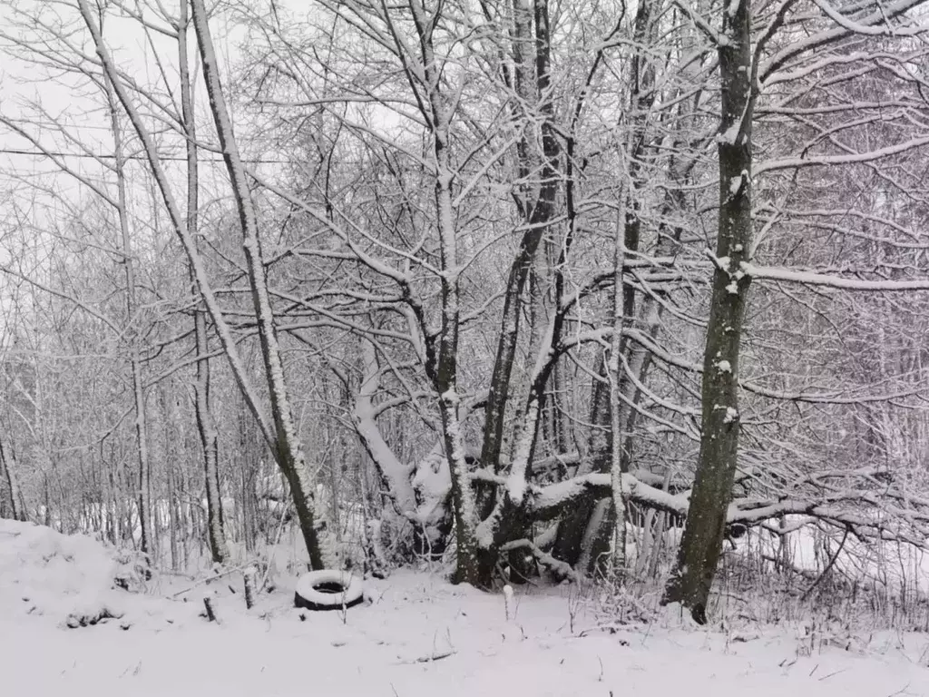 Участок в Ленинградская область, Всеволожский район, Токсовское ... - Фото 0