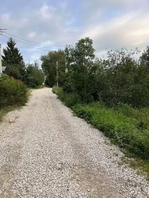 Участок в Московская область, Щелково городской округ, д. Мишнево  ... - Фото 1
