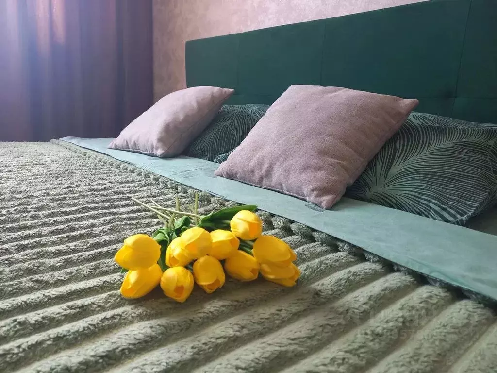 1-к кв. Рязанская область, Рязань Олимпийский городок мкр, 2 (27.0 м) - Фото 2