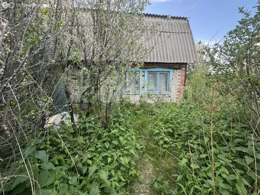 Участок в Новосибирск, садовое товарищество Звёздочка (5.85 м) - Фото 1