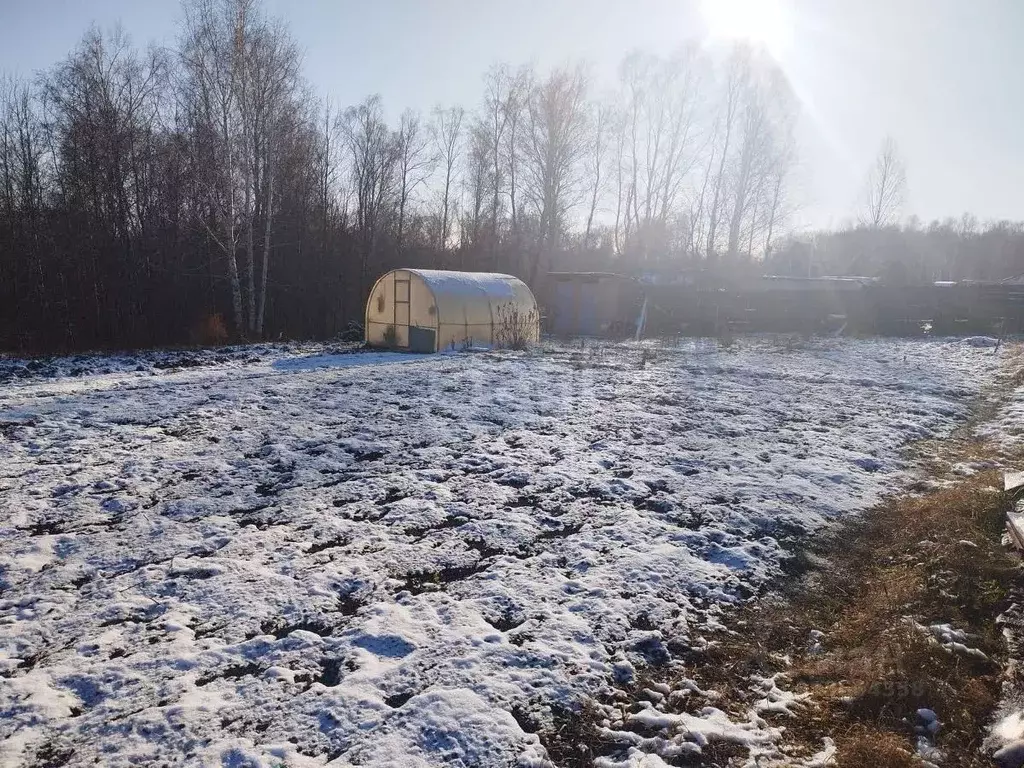 Участок в Новосибирская область, Бердск Марьин Лог СНТ, ул. 45А, 11 ... - Фото 1