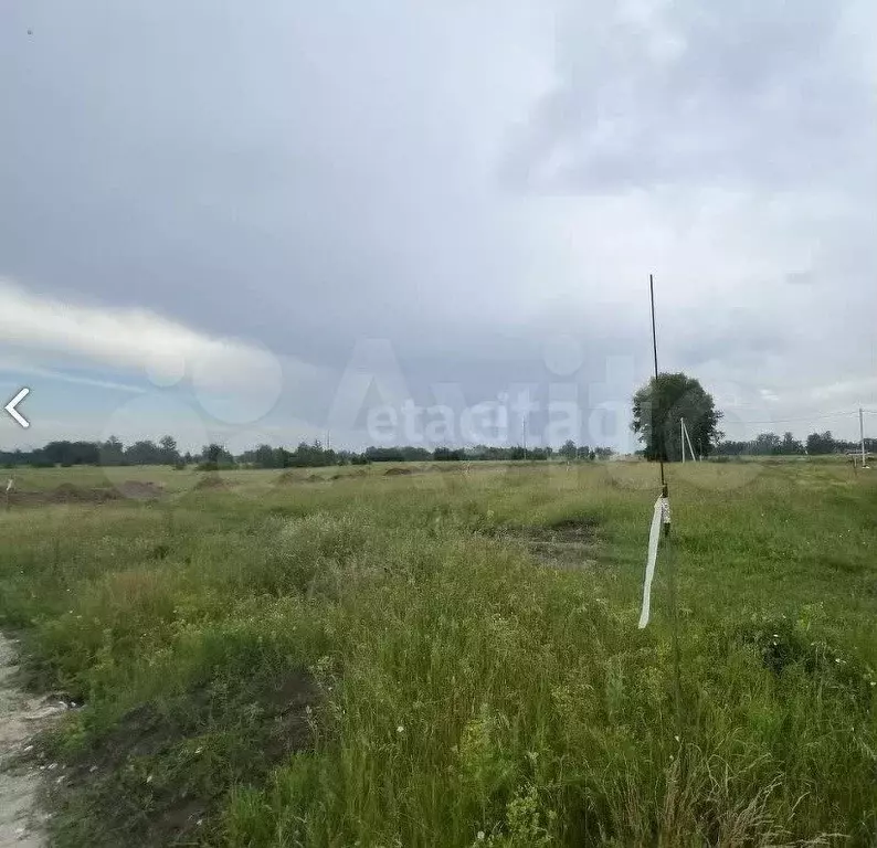 Участок 4,6 сот. (СНТ, ДНП) - Фото 1