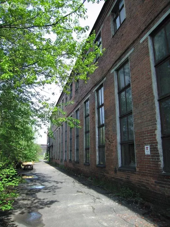 Помещение свободного назначения (5000 м) - Фото 1