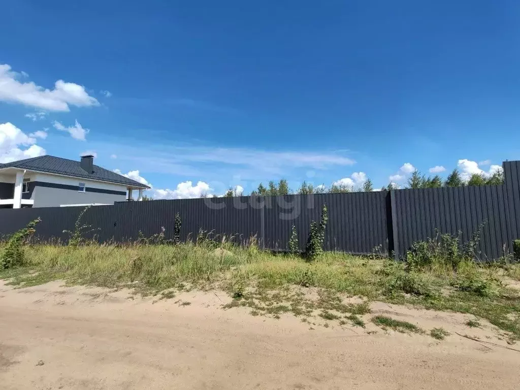 Участок в Воронежская область, Рамонский район, Новоживотинновское ... - Фото 2