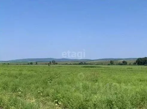 Участок в Краснодарский край, Новороссийск городской округ, ... - Фото 2