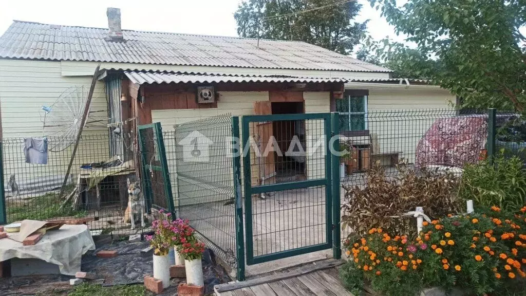 Дом в Амурская область, Благовещенский муниципальный округ, село ... - Фото 1