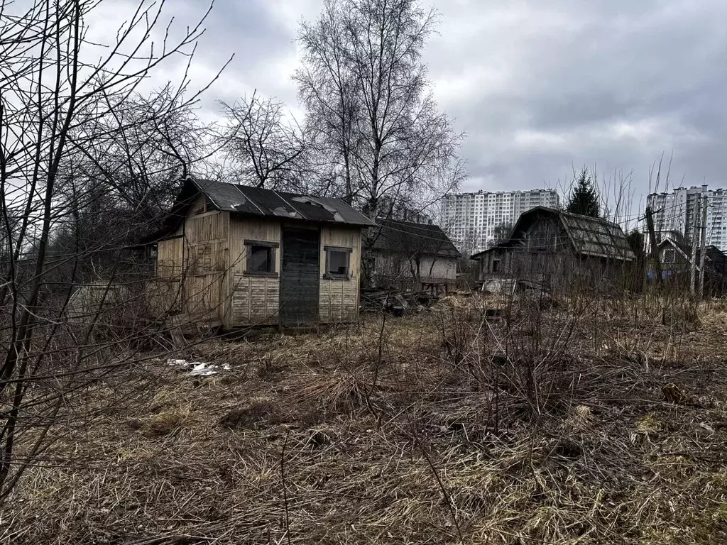 Участок в Санкт-Петербург Деревня Рыбацкое тер., 32 (8.7 сот.) - Фото 2
