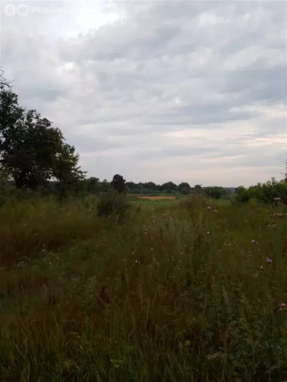 Участок в село Старый Курлак, улица Ленина (100 м) - Фото 2