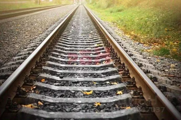 Производственное помещение в Свердловская область, Камышловский район, ... - Фото 1