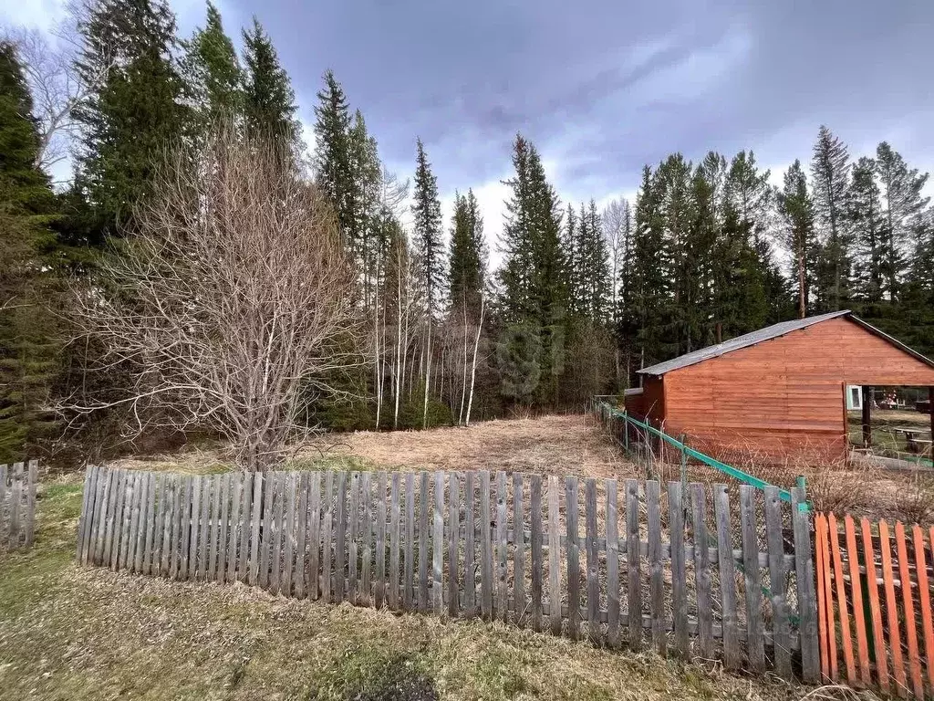 Участок в Красноярский край, Березовский район, Вознесенский ... - Фото 1