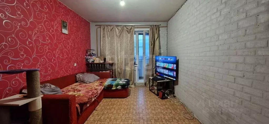 1-к кв. Курганская область, Курган Заозерный жилрайон, 6-й мкр, 4 ... - Фото 1