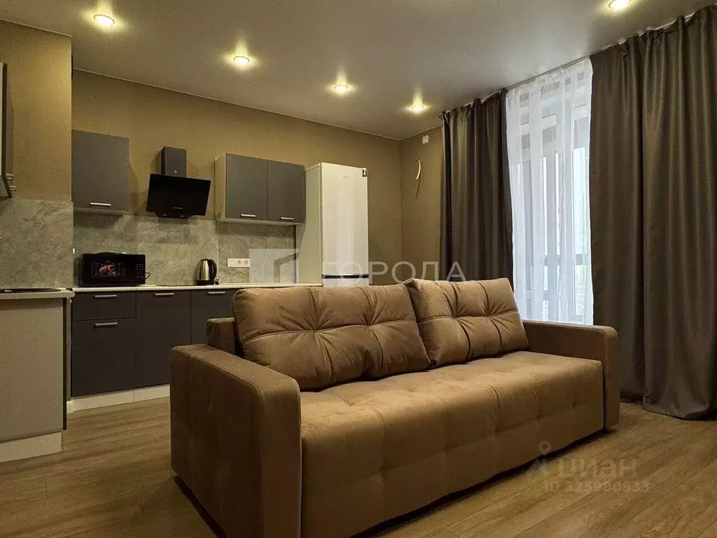 Студия Новосибирская область, Новосибирск ул. Коминтерна, 89 (30.0 м) - Фото 1