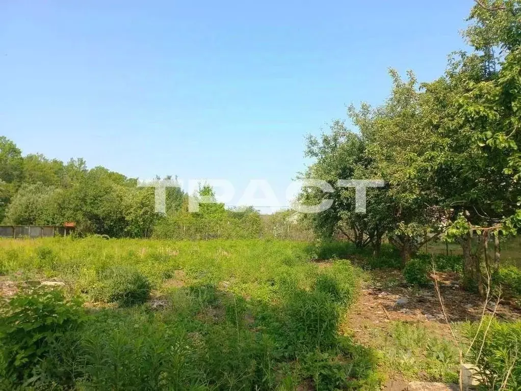 Участок в Воронежская область, Семилукский район, Губаревское с/пос, ... - Фото 2