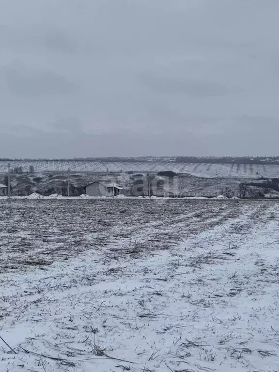 Участок в Белгородская область, Белгородский район, Головинское с/пос, ... - Фото 0