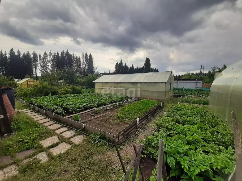 Дом в Свердловская область, Нижний Тагил Весна КС, ул. Центральная (17 ... - Фото 1