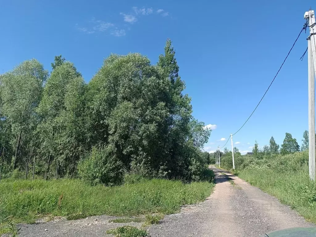 Участок в Новгородская область, Новгородский район, Бронницкое с/пос, ... - Фото 0