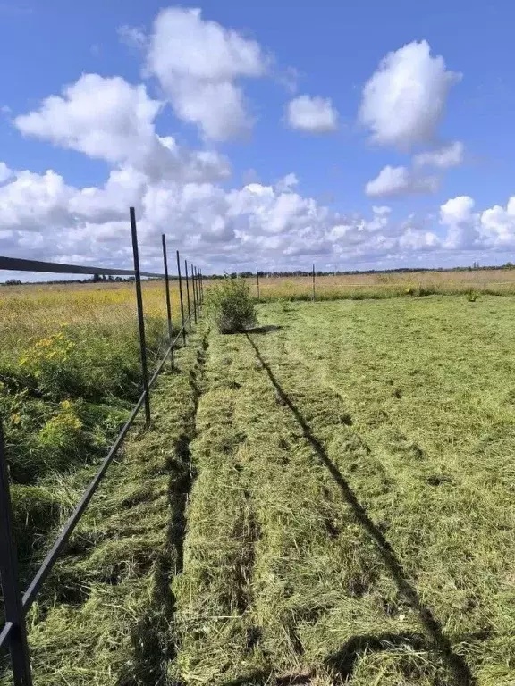 Участок в Псковская область, Псковский район, Завеличенская волость, ... - Фото 1