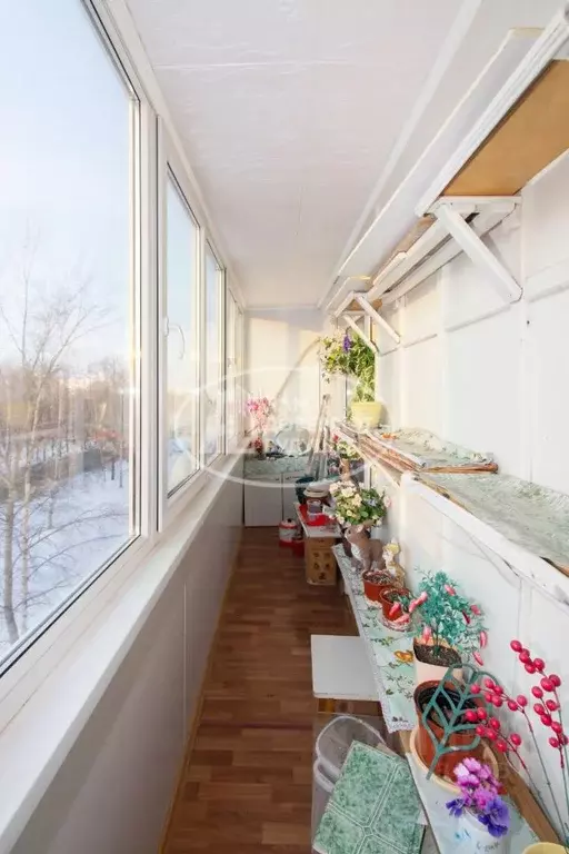 2-к кв. Пермский край, Чайковский Советская ул., 55 (49.4 м) - Фото 2