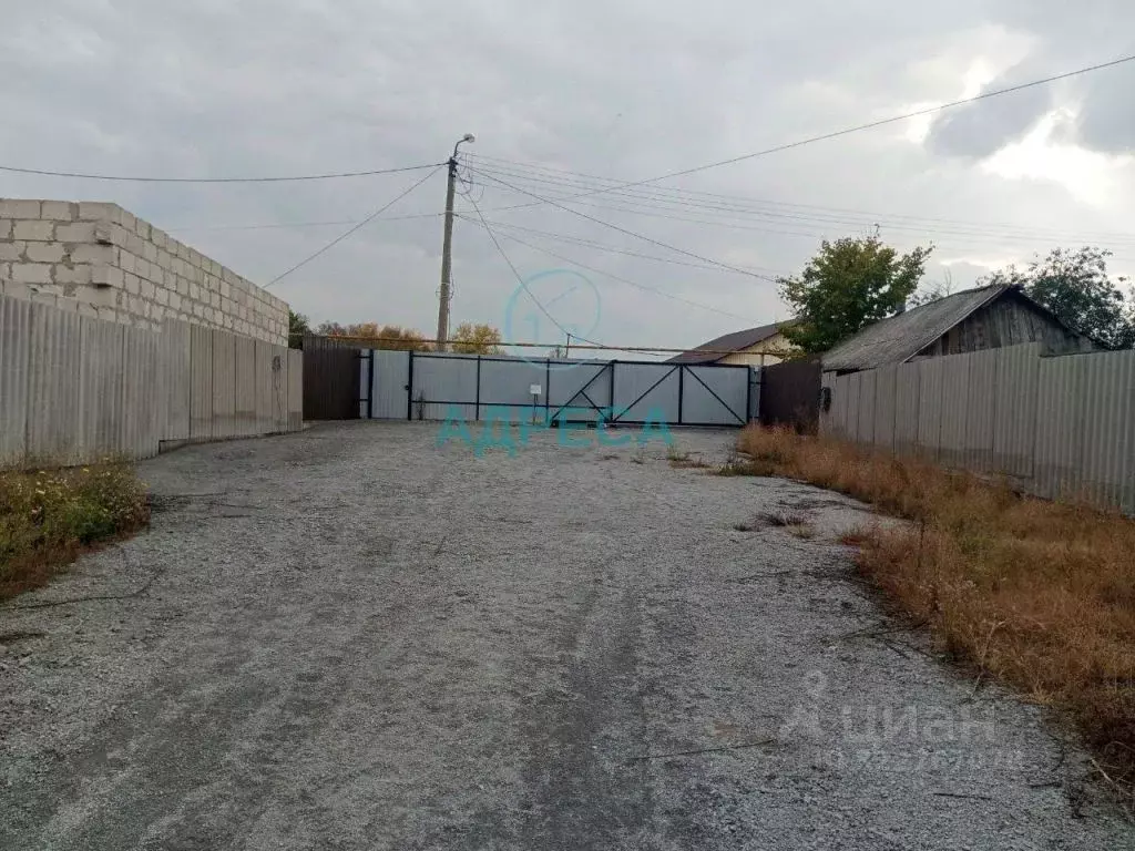 Участок в Белгородская область, Поселок Чернянка городское поселение, ... - Фото 2