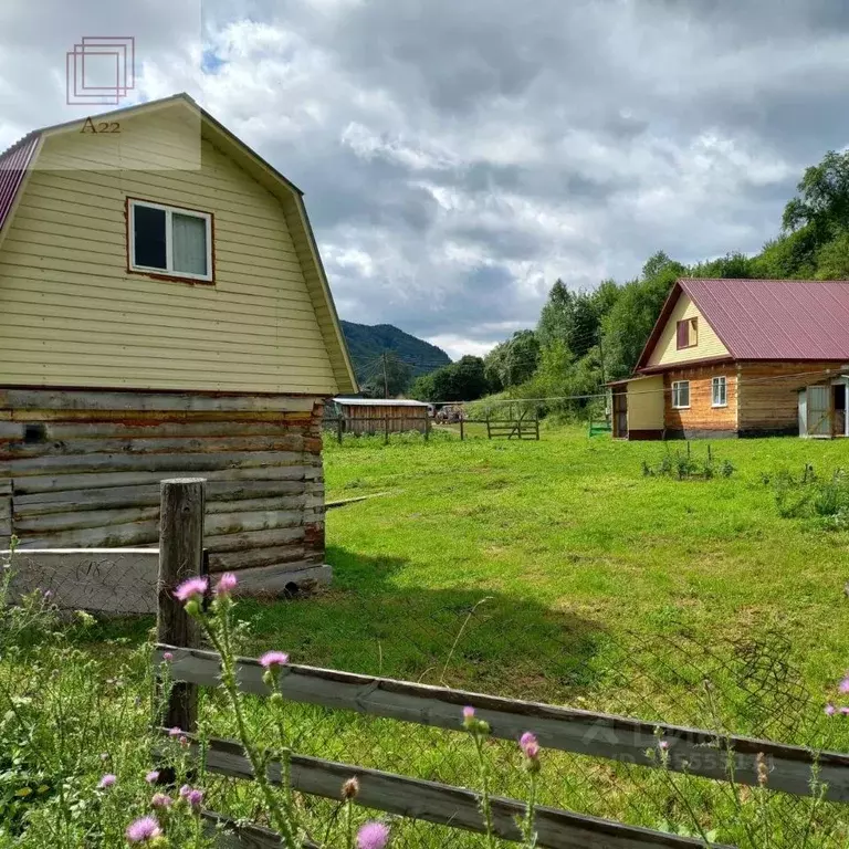 Дом в Алтайский край, Алтайский район, с. Сараса Красноармейская ул., ... - Фото 2