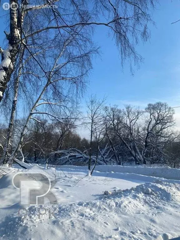 Дом в Московская область, городской округ Домодедово, деревня ... - Фото 1