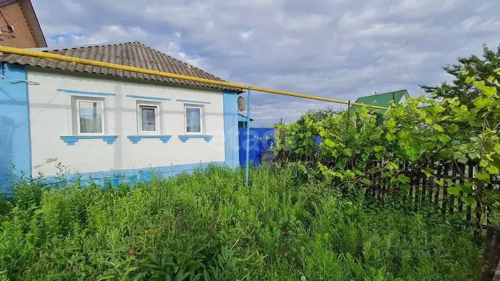 Дом в Белгородская область, Волоконовский район, Пятницкое рп ... - Фото 1