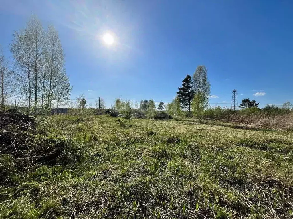 Участок в Тюменская область, Тюмень Ясень садовое товарищество, ул. ... - Фото 1