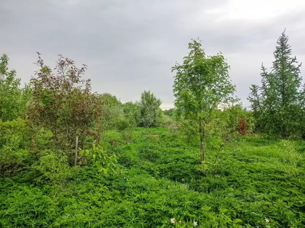 Участок в Калужская область, Боровский муниципальный округ, д. ... - Фото 1