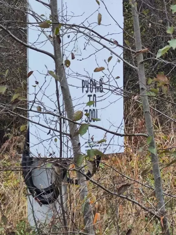 Участок в Ленинградская область, Кировский район, Шумское с/пос, д. ... - Фото 2