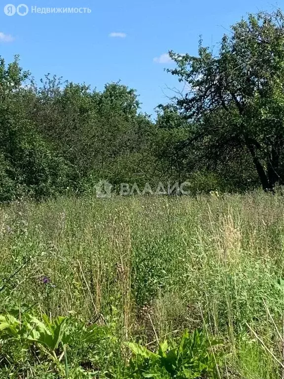 Участок в Владимирская область, Собинский муниципальный округ, село ... - Фото 0