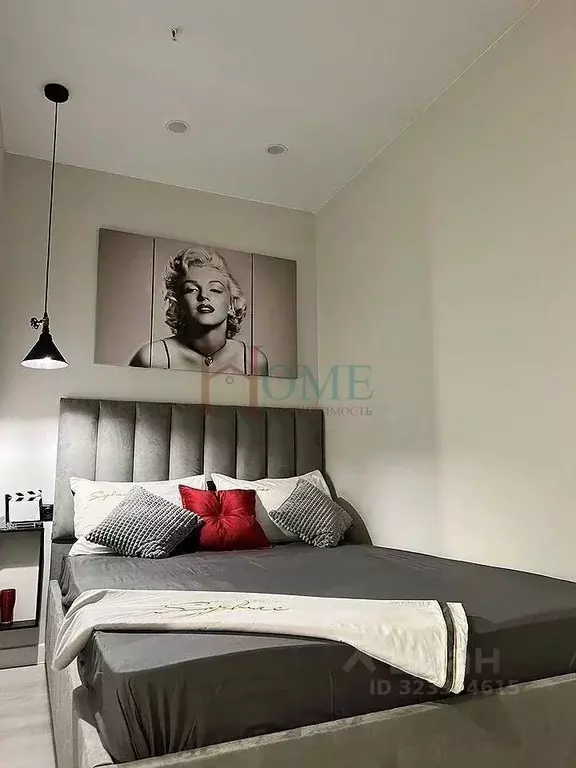 Студия Новосибирская область, Новосибирск Обская ул., 46/2 (30.0 м) - Фото 1