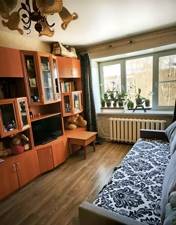 1-к кв. Московская область, Павловский Посад ул. Фрунзе, 10 (30.0 м) - Фото 1