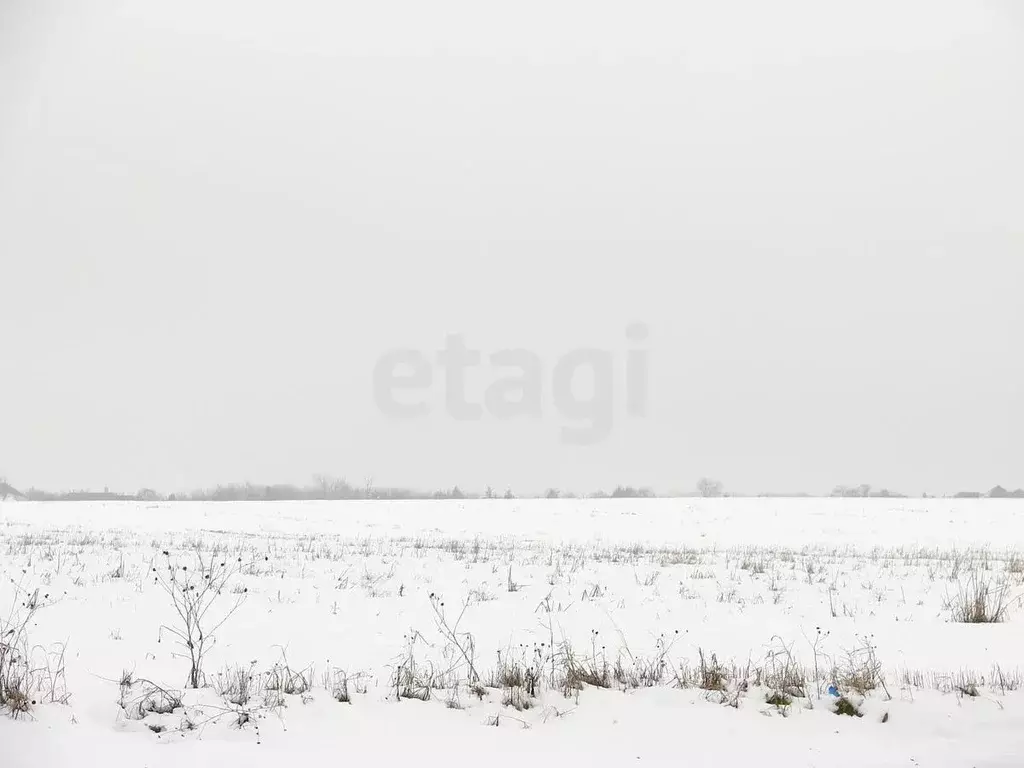 Участок в Костромская область, Красносельский район, Шолоховское ... - Фото 0