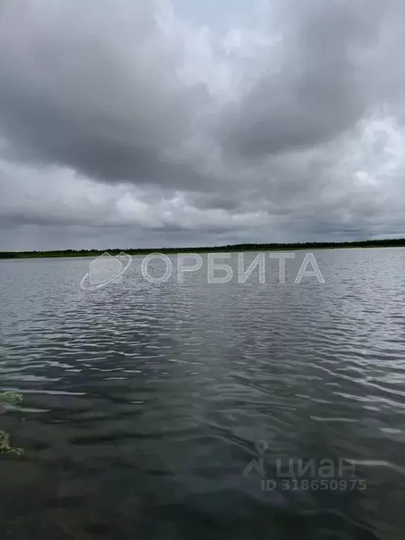 Участок в Тюменская область, Тюменский район, д. Субботина  (30.0 ... - Фото 1