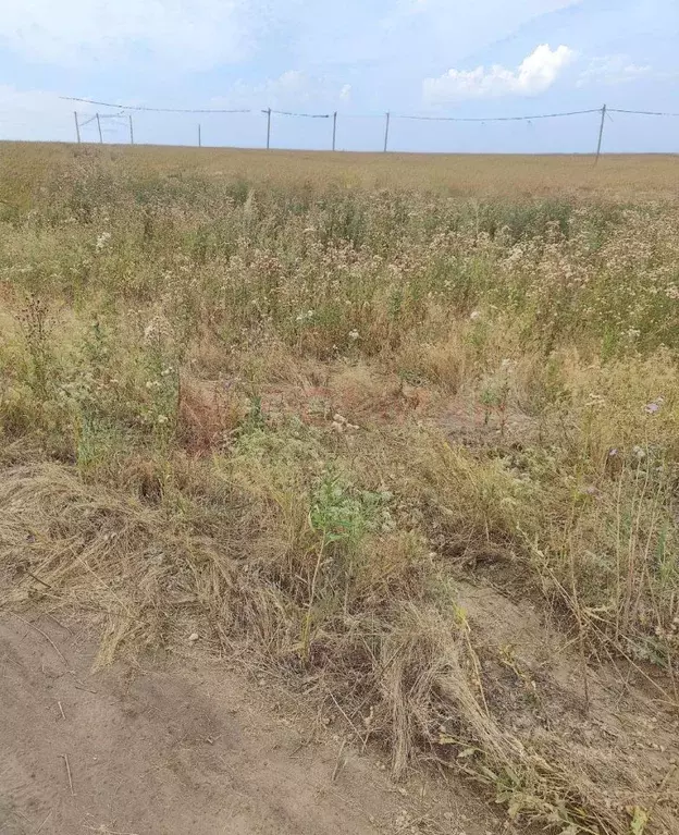 Участок в Ростовская область, Аксайский район, Грушевская ст-ца пер. ... - Фото 1