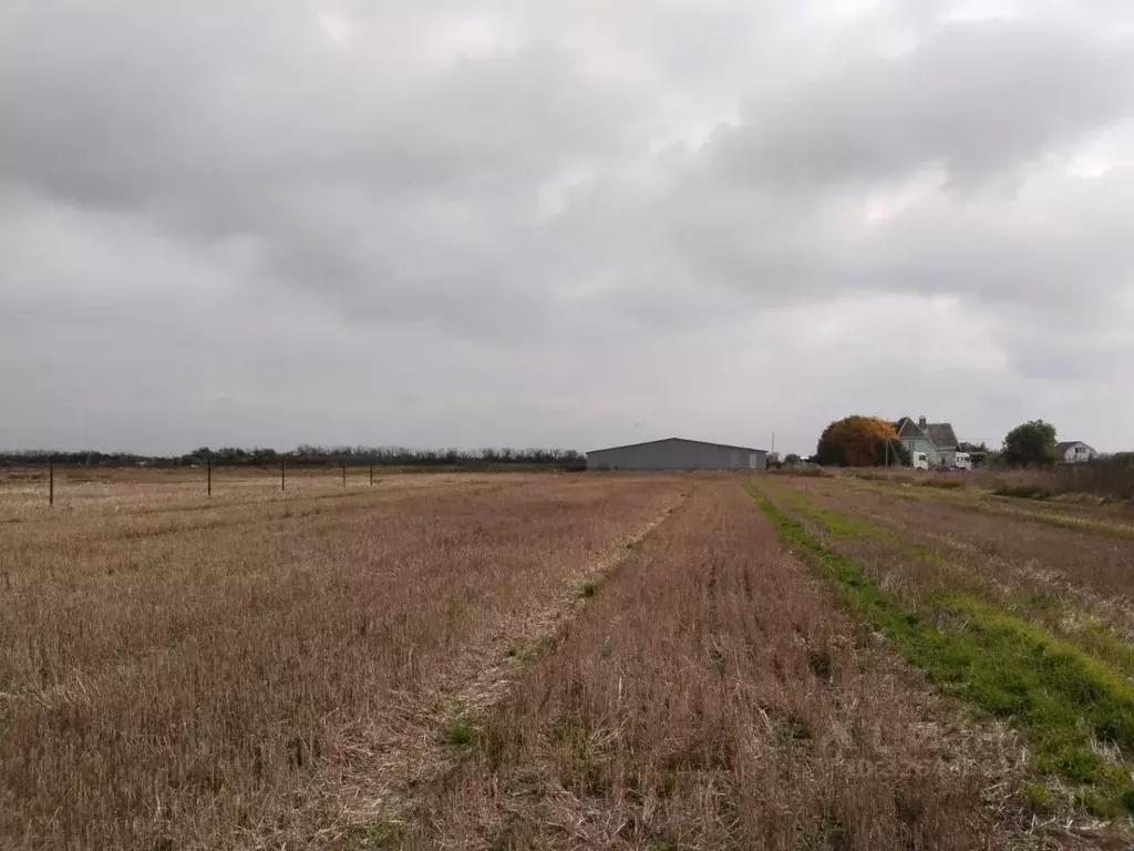 Участок в Ставропольский край, Предгорный муниципальный округ, пос. ... - Фото 1