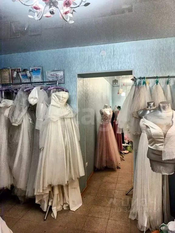 Помещение свободного назначения в Владимирская область, ... - Фото 2