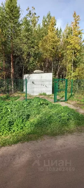 Участок в Ленинградская область, Приозерский район, Раздольевское ... - Фото 1