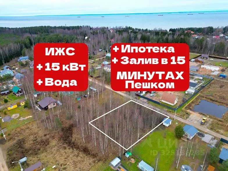 Участок в Ленинградская область, Ломоносовский район, Лебяженское ... - Фото 1