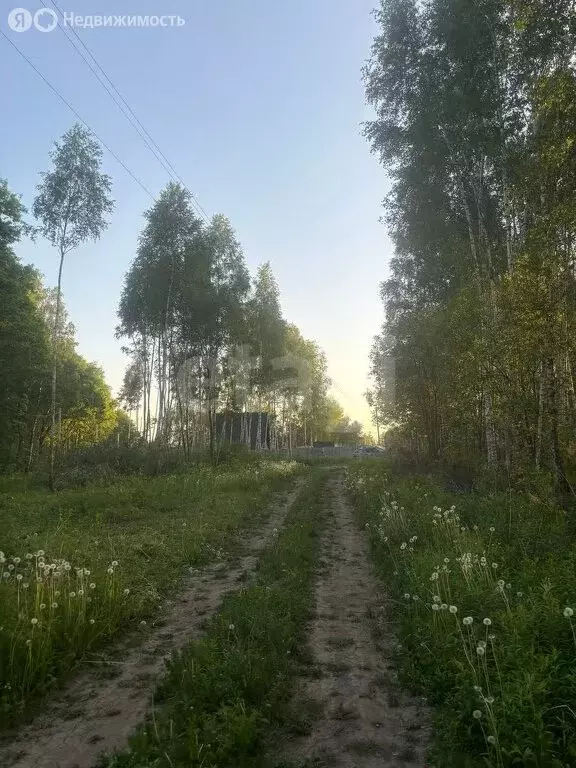 Участок в Тульская область, городской округ Тула, село Частое, Светлая ... - Фото 1