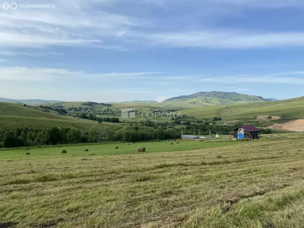 Участок в Алтайский район, ДНТ Жемчужина Алтая (10 м) - Фото 2
