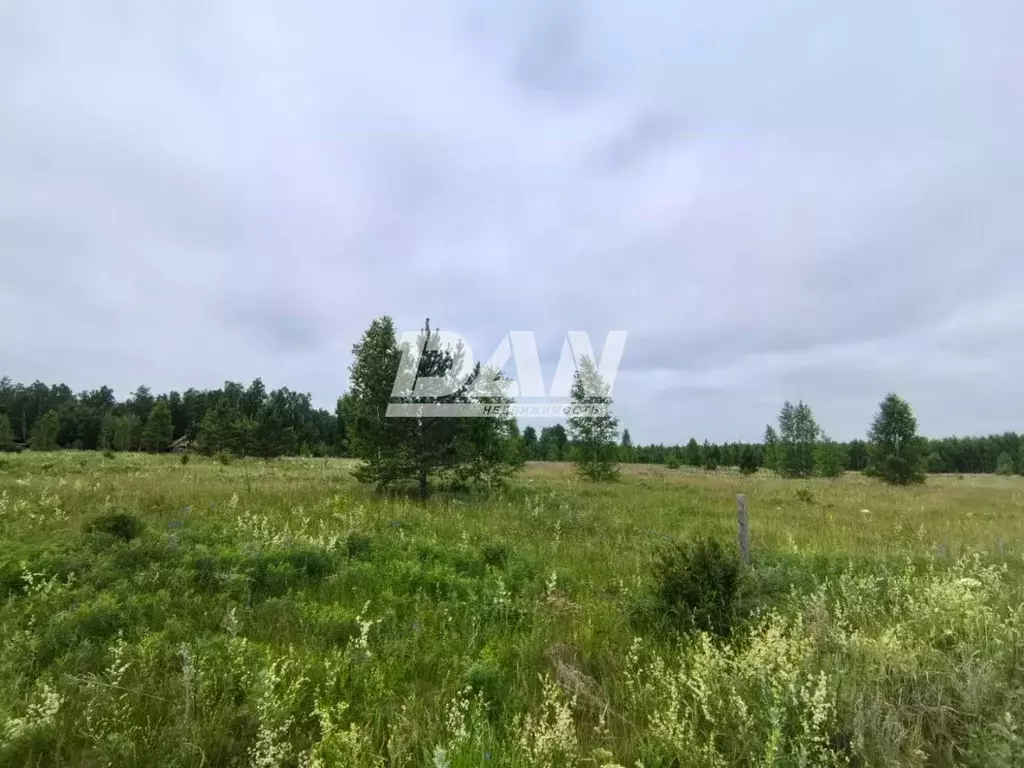 Участок в Челябинская область, Красноармейский район, д. Пашнино 1-е ... - Фото 1