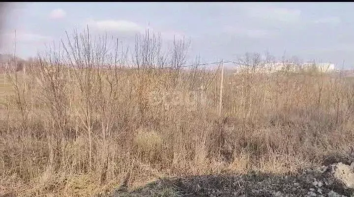 Участок в Курская область, Курский район, Нижнемедведицкий сельсовет, ... - Фото 1