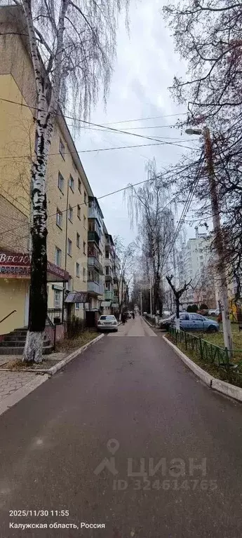 3-к кв. Калужская область, Калуга ул. Билибина, 28 (50.8 м) - Фото 1